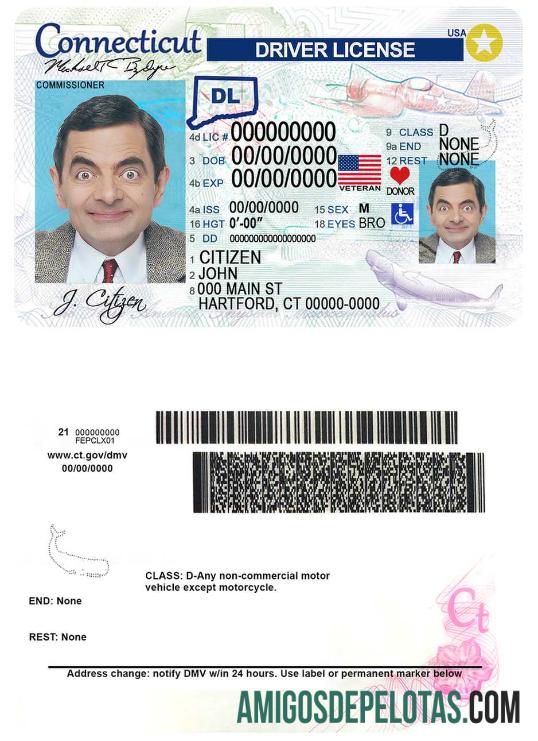 Carta de condução dos EUA em Connecticut exemplo